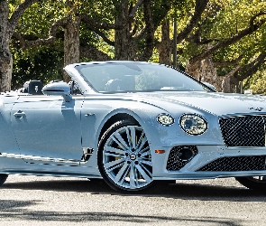 Mulliner, Kabriolet, Bentley Continental GT Speed Beverley Hills