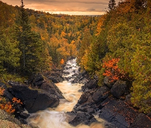 Kolorowe, Poplar River, Jesień, Rzeka, Manitoba, Drzewa, Kanada, Kamienie