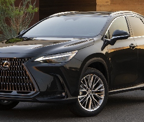 Czarny, Lexus NX