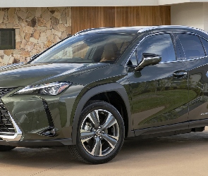 Lexus UX 300e, Elektryczny