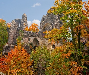 Bastei, Drzewa, Park Narodowy Saskiej Szwajcarii, Most, Jesień, Niemcy, Skały