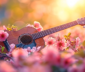 Różowe, Kwiaty, Gitara