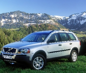 Volvo XC-90, Dachowe, Relingi