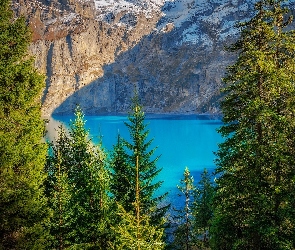 Drzewa, Oeschinen Lake, Góry, Szwajcaria, Alpy, Jezioro