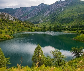 Prowincja Jalal Abad, Roślinność, Lasy, Kirgistan, Jezioro Sary Chelek, Góry, Drzewa