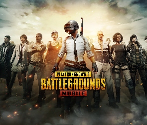 PlayerUnknowns Battlegrounds, Postacie, Gra