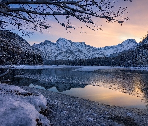 Drzewa, Zima, Góry, Austria, Jezioro, Almsee
