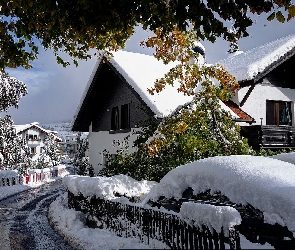 Drzewa, Zima, Domy, Śnieg