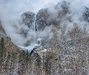 Mgła, Góry, Kalifornia, Park Narodowy Yosemite, Stany Zjednoczone, Drzewa