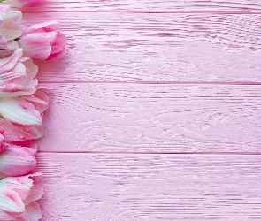 Tło, Różowe, Różowo-białe, Tulipany