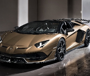 Lamborghini Aventador SVJ, 2020