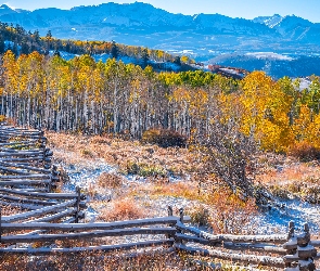 Góry, San Juan Mountains, Jesień, Ogrodzenie, Telluride, Stany Zjednoczone, Drzewa, Kolorado, Płot, Topole osikowe, Las