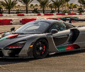 McLaren Senna XP El Triunfo Absoluto