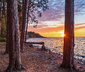 Stan Michigan, Superior Lake, Stany Zjednoczone, Jezioro, Drzewa, Marquette, Zachód słońca, Las