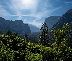 Park Narodowy Yosemite, Kalifornia, Liście, Stany Zjednoczone, Wodospad, Skały, Góry, Drzewa, Mgła