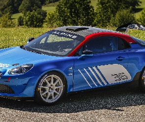 Alpine A110 Rally, Rajdowy