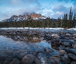 Kamienie, Drzewa, Góry, Rzeka, Park Narodowy Banff, Kanada, Canadian Rockies, Alberta, Bow River, Góra, Castle Mountain