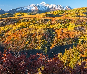 Kolorado, Góry, Stany Zjednoczone, Jesień, Roślinność, Telluride, Lasy, San Juan Mountains