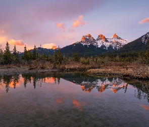 Drzewa, Rzeka, Three Sisters, Bow River, Canmore, Alberta, Góry, Canadian Rockies, Kanada, Góra