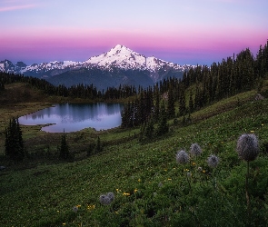 Tipsoo Lake, Jezioro, Park Narodowy Mount Rainier, Drzewa, Mount Rainier, Stany Zjednoczone, Góry