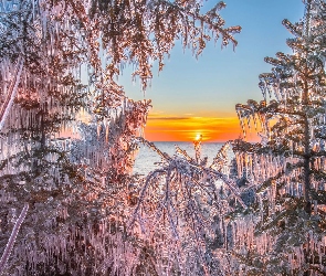 Jezioro, Sople, Drzewa, Zachód słońca, Gałęzie, Zima, Oblodzone