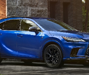Lexus RX Hybryda F Sport, Bok