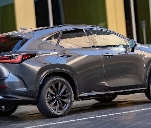 Lexus NX Plug-in Hybrid F Sport, Bok
