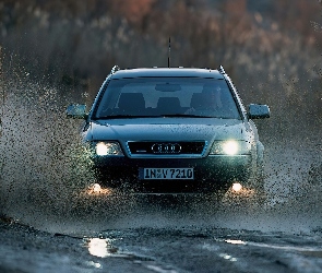 Przód, Błoto, Audi Allroad