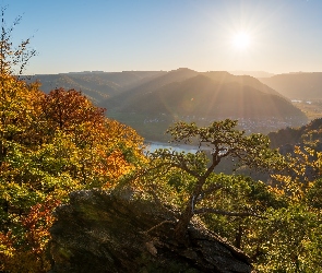 Austria, Rzeka Dunaj, Drzewa, Jesień, Góry, Skały