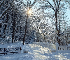 Drzewa, Ogrodzenie, Park, Zima, Ławka, Śnieg