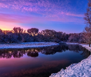 Stany Zjednoczone, Arizona, Drzewa, Zima, Rzeka, Granite Creek