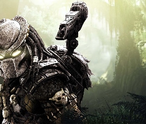 Screen, Aliens vs Predator