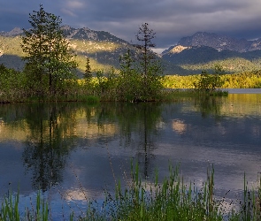 Rozświetlone, Trawa, Drzewa, Góry, Jezioro
