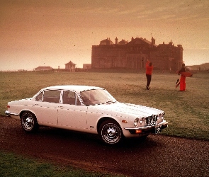 Jaguar, Dworek, Biały