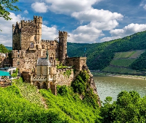 Trechtingshausen, Ren, Niemcy, Rzeka, Las, Zamek Rheinstein, Drzewa, Wzgórza
