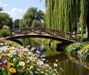 Kwiaty, Park, Wierzba płacząca, Mostek, Strumień