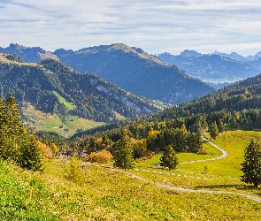 Szwajcaria, Wzgórza, Droga, Góry, Drzewa, Łąka