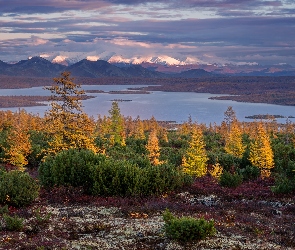 Drzewa, Jack London, Kołyma, Rosja, Góry, Jezioro