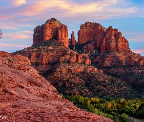 Drzewa, Czerwone, Arizona, Stany Zjednoczone, Sedona, Skały