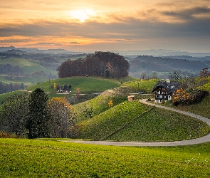 Góry, Zachód słońca, Dom, Wzgórza, Droga, Drzewa