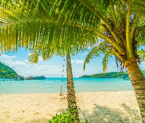 Tropiki, Molo, Morze, Palmy, Plaża, Huśtawka