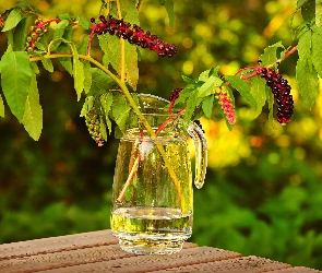 Dzbanek, Owoce, Szkarłatka amerykańska, Roślina, Szklany