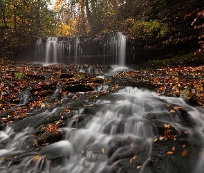 Kolorowe, Drzewa, Wodospad, Liście, Skały, Jesień, Rzeka