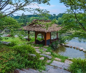 Mokradła, Drzewa, Altana