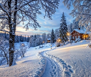 Drzewa, Domy, Zima, Śnieg, Ślady, Droga, Chmury, Światła
