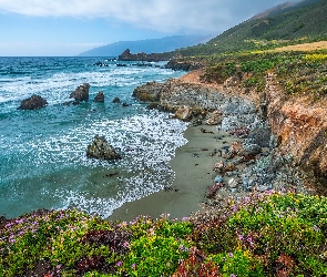 Morze, Kalifornia, Kwiaty, Stany Zjednoczone, Region Big Sur, Rośliny, Wybrzeże, Skały, Kamienie