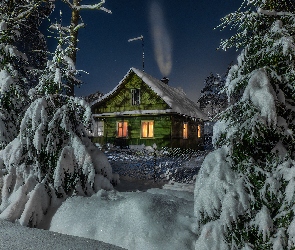 Dom, Zaspy, Zima, Śnieg, Gwiazdy, Światła, Drzewa, Noc