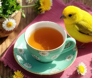 Kanarek, Ptak, Herbata, Filiżanka, Kwiaty, Żółty