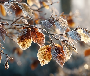 Grafika AI, Szron, Buk, Liście