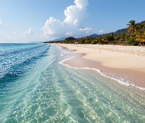 Grafika, Tropiki, Plaża, Morze, Domki, Palmy